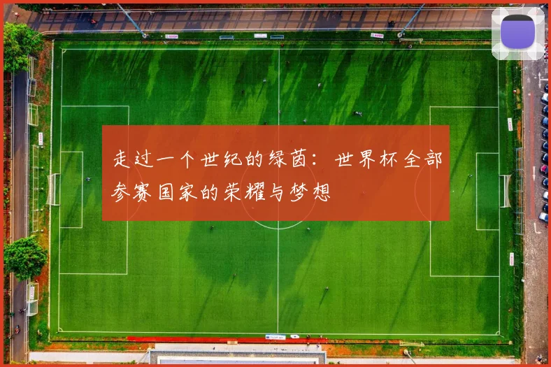 走过一个世纪的绿茵：世界杯全部参赛国家的荣耀与梦想