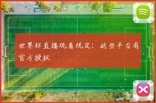世界杯直播观看规定：这些平台有官方授权