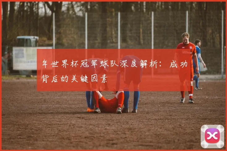 年世界杯冠军球队深度解析：成功背后的关键因素