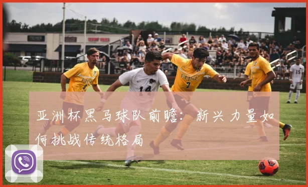 亚洲杯黑马球队前瞻：新兴力量如何挑战传统格局