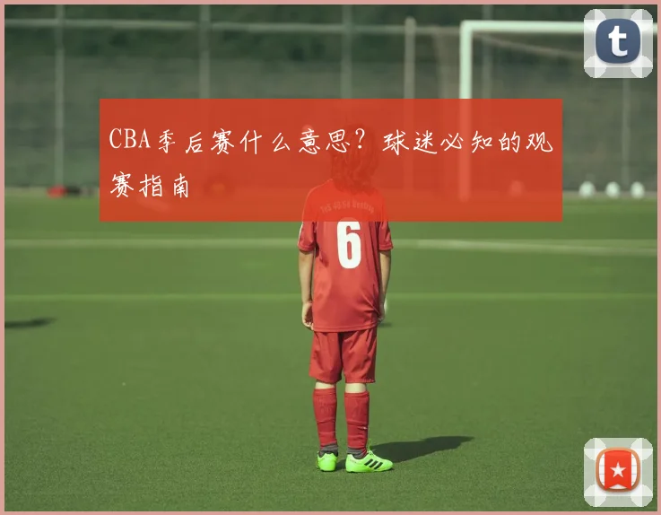 CBA季后赛什么意思？球迷必知的观赛指南